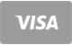 Visa carta di credito e debito accettata